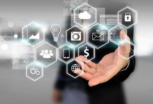 所志國(guó)軟文寫作案例 不靠廣告靠口碑，誠(chéng)信服務(wù)成就電子商務(wù)新典范